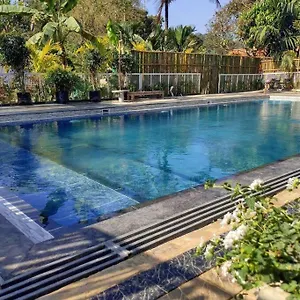  Villa Ibiza Wonderland , Wayanad