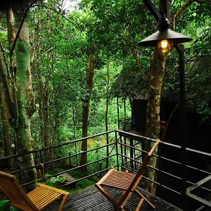 3* Resort Ranches Jungle Beats